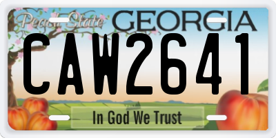 GA license plate CAW2641