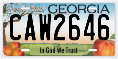 GA license plate CAW2646