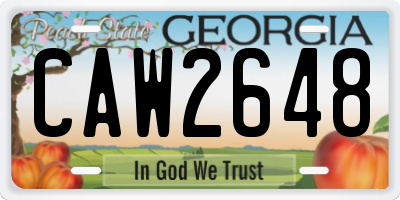 GA license plate CAW2648