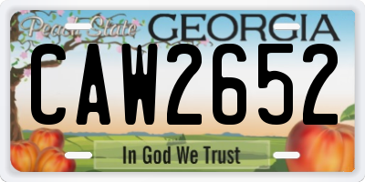 GA license plate CAW2652