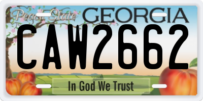 GA license plate CAW2662