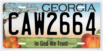 GA license plate CAW2664