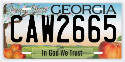 GA license plate CAW2665