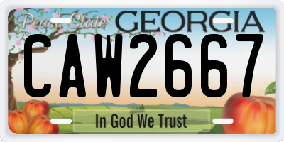 GA license plate CAW2667