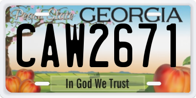 GA license plate CAW2671