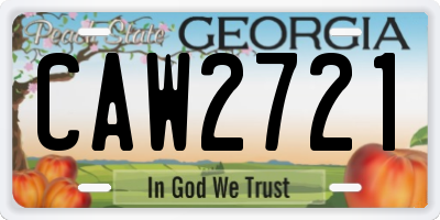 GA license plate CAW2721
