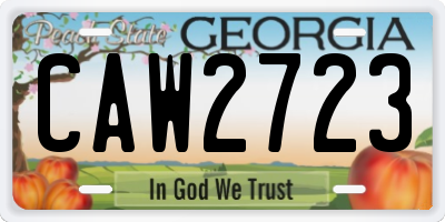 GA license plate CAW2723