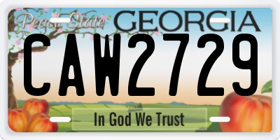 GA license plate CAW2729