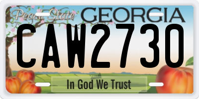 GA license plate CAW2730