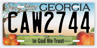 GA license plate CAW2744