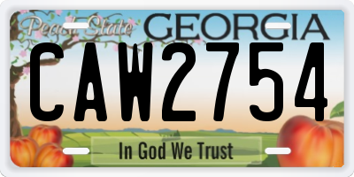 GA license plate CAW2754