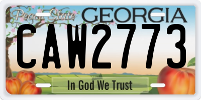 GA license plate CAW2773
