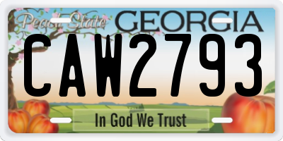 GA license plate CAW2793