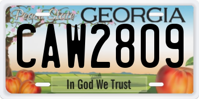 GA license plate CAW2809