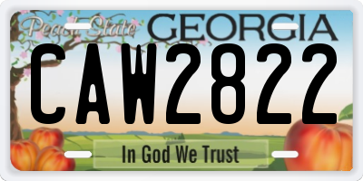 GA license plate CAW2822