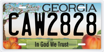 GA license plate CAW2828