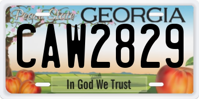 GA license plate CAW2829