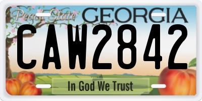 GA license plate CAW2842