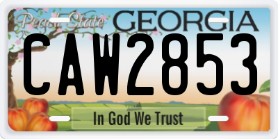GA license plate CAW2853
