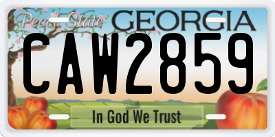 GA license plate CAW2859