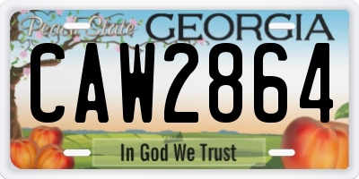 GA license plate CAW2864