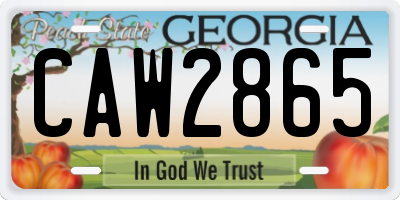 GA license plate CAW2865