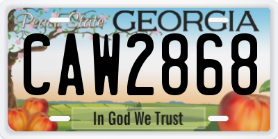 GA license plate CAW2868