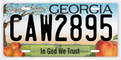 GA license plate CAW2895