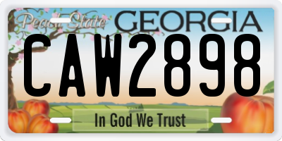 GA license plate CAW2898
