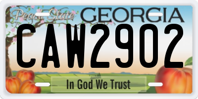 GA license plate CAW2902