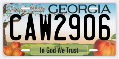 GA license plate CAW2906