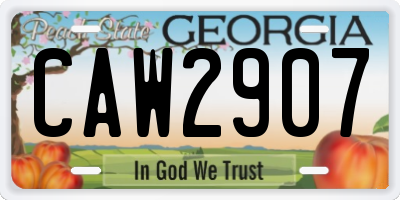GA license plate CAW2907