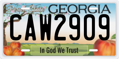 GA license plate CAW2909