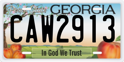 GA license plate CAW2913