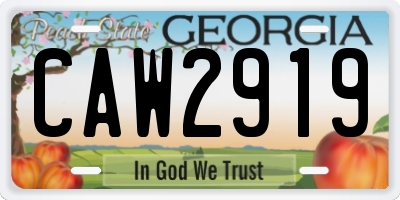 GA license plate CAW2919