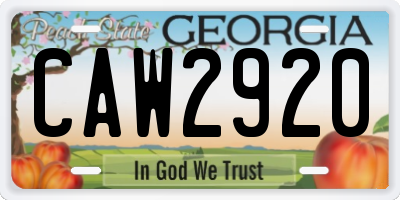 GA license plate CAW2920