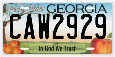 GA license plate CAW2929