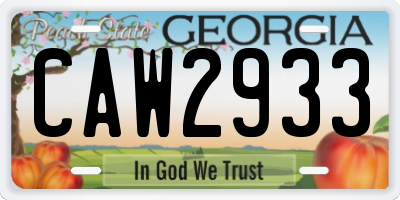 GA license plate CAW2933