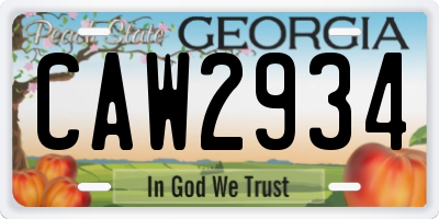GA license plate CAW2934