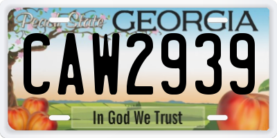 GA license plate CAW2939