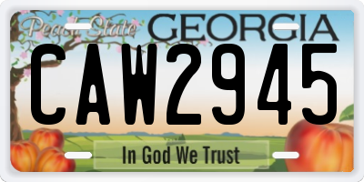 GA license plate CAW2945