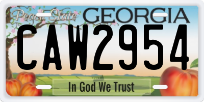 GA license plate CAW2954