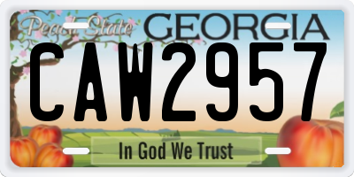 GA license plate CAW2957