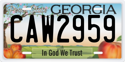 GA license plate CAW2959
