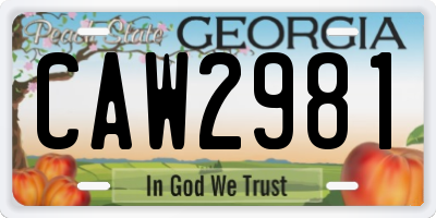 GA license plate CAW2981