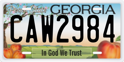GA license plate CAW2984