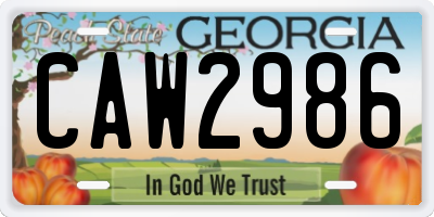 GA license plate CAW2986