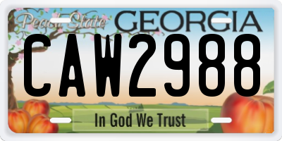 GA license plate CAW2988