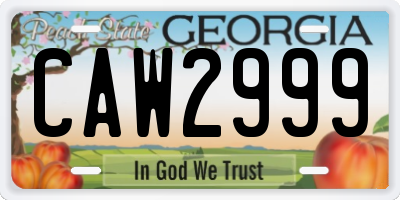 GA license plate CAW2999