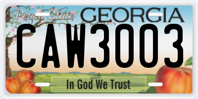 GA license plate CAW3003